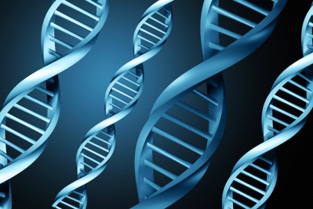 Laboratórios Genolab e Freitag vão integrar a tecnologia de análise de DNA para alimentos