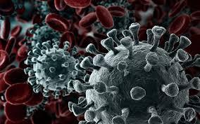 Instituto de Pesquisa HCor apoia estudo mundial sobre o novo Coronavírus